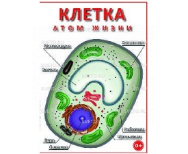 Диск "Клетка - "атом жизни" 