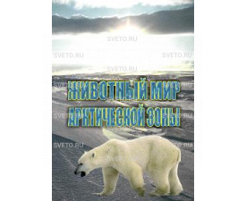 Диск "Животный мир Арктической зоны"